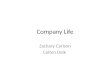 Company Life Zachary Carlson Colten Delk. Google 1.1600 Amphitheatre Parkway Mountain View CA 2. Internet -Service 3. 53,546 4. Search Engine 5. They