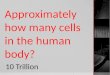Approximately how many cells in the human body? 10 Trillion