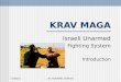 10/25/2015ISI TRAINING CENTER KRAV MAGA Israeli Unarmed Fighting System Introduction