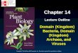 Chapter 14 Lecture Outline Domain (Kingdom) Bacteria, Domain (Kingdom) Archaea, and Viruses Copyright © The McGraw-Hill Companies, Inc. Permission required