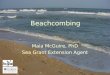 Beachcombing Maia McGuire, PhD Sea Grant Extension Agent