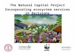 The Natural Capital Project Incorporating ecosystem services in decisions