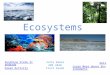 Ecosystems Sunshine State Standards Great Activity Quiz Learn More about Environments Julie Ramos EME 2040 First Grade