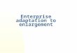 Enterprise adaptation to enlargement. Overview The adoption of the acquis is costly Comply with standards: Environmental, Safety at work, Competition