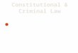 Unit 3: Constitutional & Criminal Law Analyze the structure of the government and the court system