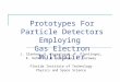 Prototypes For Particle Detectors Employing Gas Electron Multiplier J. Slanker, G. Karagiorgi, F. Plentinger, K. Dehmelt, M. Hohlmann, L. Caraway Florida