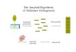 The Amyloid Hypothesis of Alzheimer Pathogenesis APP Amyloid-  production Self-assembly clinical AD neuronal cell death tau