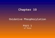 Oxidative Phosphorylation Part 1 of Three Chapter 19