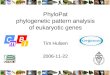 PhyloPat phylogenetic pattern analysis of eukaryotic genes Tim Hulsen 2006-11-22