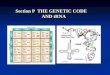 Section P THE GENETIC CODE AND tRNA P1-THE GENETIC CODE P2 -tRNA STRUCTURE AND FUNCTION Content