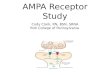 AMPA Receptor Study Cody Clark, RN, BSN, SRNA York College of Pennsylvania
