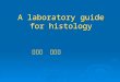 A laboratory guide for histology 刘尚明 武玉玲. Introduction  As other medical courses, the study of histology consists of two parts: lectures and laboratory