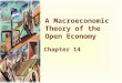 A Macroeconomic Theory of the Open Economy Chapter 14