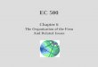 EC 500 Chapter 6 The Organization of the Firm And Related Issues