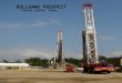 BULLDAWG PROSPECT Liberty County, Texas. HOUSTON, Oct. 5, 2005 PRNewswire-First Call -- Carrizo Oil & Gas, Inc. (Nasdaq: CRZO) announced today that
