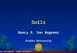 Nancy Van Wagoner, Acadia University Soils Nancy A. Van Wagoner Acadia University