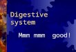 1 Digestive system Mmm mmm good!. 2 GI system  Gastrointestinal  ______ – stomach  Intestinal - intestine
