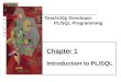 PL/SQLPL/SQL Oracle10g Developer: PL/SQL Programming Chapter 1 Introduction to PL/SQL