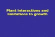 Plant interactions and limitations to growth. GROWING TOGETHER DRY SOIL MESIC SOIL VIRGINIA PINETULIP POPLAR