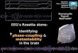 1 EEG’s Rosetta stone: _ Identifying _ phase-coupling & metastability in the brain The Human Brain and Behavior Laboratory Emmanuelle Tognoli 06/07/2007