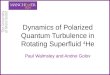 Dynamics of Polarized Quantum Turbulence in Rotating Superfluid 4 He Paul Walmsley and Andrei Golov