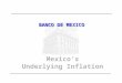 BANCO DE MEXICO Mexico’s Underlying Inflation. IntroductionIntroduction Methodology for calculating Underlying Inflation in México The Mexican Experience