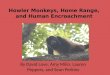 Howler Monkeys, Home Range, and Human Encroachment By David Love, Amy Milin, Lauren Peppers, and Sean Perkins