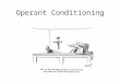 Operant Conditioning. Do Now Write two classical conditioning equations. One should use counter conditioning