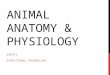 ANIMAL ANATOMY & PHYSIOLOGY SAFETY DIRECTIONAL VOCABULARY