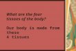What are the four tissues of the body? Our body is made from these 4 tissues