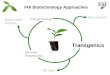 FHI Biotechnology Approaches Genome Sequencing Clonal Testing Transgenics Marker-aided breeding New varieties GE trees