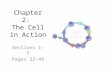 Chapter 2: The Cell in Action Sections 1-3 Pages 32-49