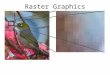 Raster Graphics. An image is considered to be made up of small picture elements (pixels). Constructing a raster image requires setting the color of each