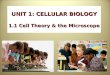 October 27, 20151 UNIT 1: CELLULAR BIOLOGY 1.1 Cell Theory & the Microscope