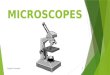 MICROSCOPES Copyright Cmassengale 1. Microscopy and Measurement produce an enlarged image of an object  Microscopes – produce an enlarged image of an