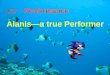 L17 Performance Alanis—a true Performer. Tasks 1.New words 2.Ex2/3 3.Sth about Alanis 4.Sth about the performance 5.Language points
