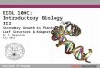 Principles of Biology BIOL 100C: Introductory Biology III Secondary Growth in Plants / Leaf Structure & Adaptations Dr. P. Narguizian Fall 2012