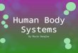 Human Body Systems By Marie Gengler. Table of Contents  Nervous System  Muscular System  Skeletal System