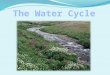 The Water Cycle Wind Condensation Precipitation Runoff Collection Review Evaporation