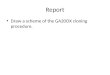 Report Draw a scheme of the GA20OX cloning procedure