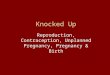 Knocked Up Reproduction, Contraception, Unplanned Pregnancy, Pregnancy & Birth