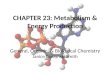 CHAPTER 23: Metabolism & Energy Production General, Organic, & Biological Chemistry Janice Gorzynski Smith