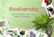 Biodiversity Life on Earth, and How We’re Losing It…