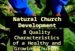 Natural Church Development 8 Quality Characteristics of a Healthy and Growing Church