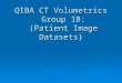 QIBA CT Volumetrics Group 1B: (Patient Image Datasets)