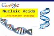 Regents Biology Nucleic Acids Information storage