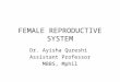 FEMALE REPRODUCTIVE SYSTEM Dr. Ayisha Qureshi Assistant Professor MBBS, Mphil