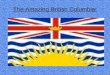 The Amazing British Columbia! LOCATION BC is Canada`s most western province, and is beside the Pacific ocean British Columbia is the magnificent Rocky