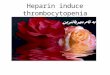 Heparin induce thrombocytopenia. Presented by the American Society of Hematology, adapted in part from the: American College of Chest Physicians Evidence-Based