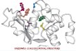 ENZYMES: CLASSIFICATION, STRUCTURE. Accelerate reactions by a millions fold Enzymes - catalysts of biological reactions